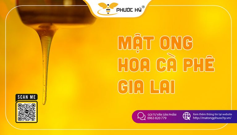 Mật ong hoa cà phê Gia Lai có gì đặc biệt?