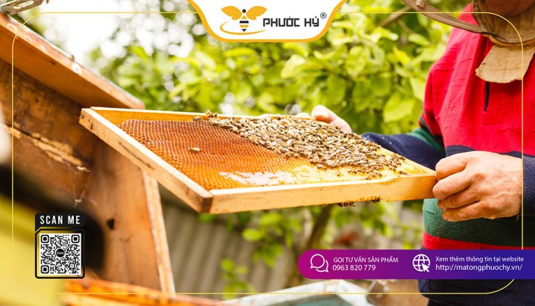 Mật ong Gia Lai có lâu chưa? Có tốt cho sức khỏe?
