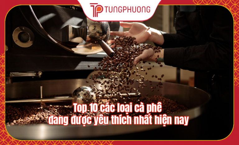 Top 10 các loại cà phê đang được yêu thích nhất hiện nay